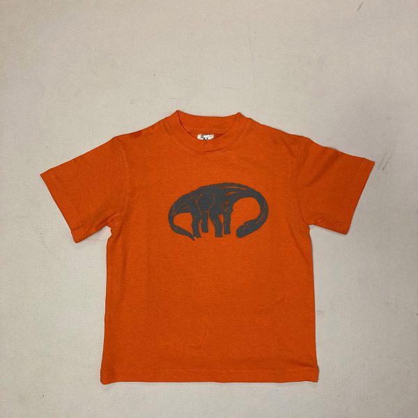 Kids' dinosaur t-shirt, orange (with grey print)