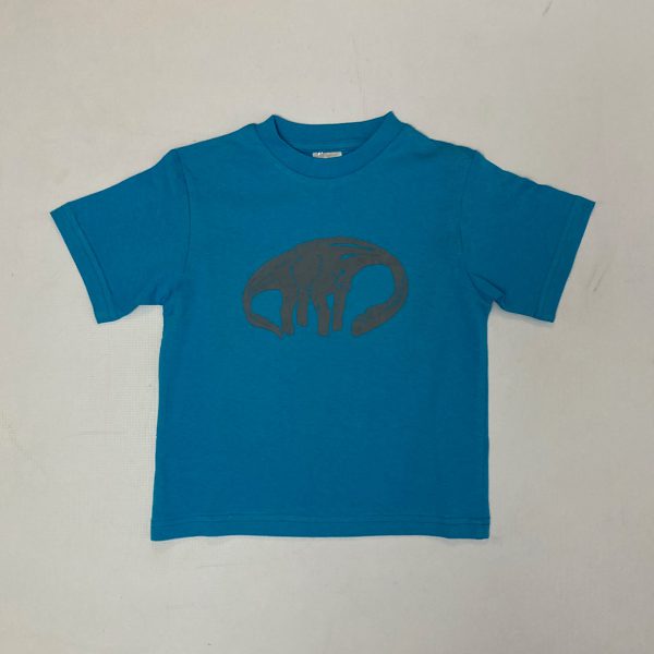 Kids' dinosaur t-shirt, turquoise