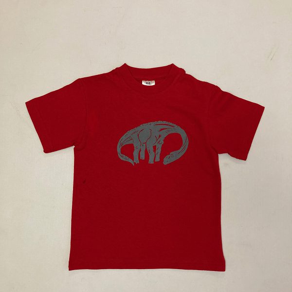 Kids' dinosaur t-shirt, red